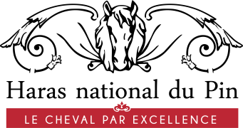 Haras national du Pin
